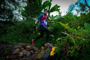 BIB: , 030
                            <button type="button" onclick="openModal(15974590)" class="btn btn-primary btn-sm float-right btn-popup" data-toggle="modal" data-target=".modal-high-quality">
                        <i class="fas fa-shopping-cart"></i> Add to Cart
                    </button>
                                            <button type="button" onclick="isThisMe(15974590, true)" class="btn btn-success btn-sm float-right btn-popup btn-isme hidden" data-toggle="tooltip" data-placement="bottom" title="นี่คือรูปของคุณใช่ไหม คลิกที่นี่เพื่อเอาเข้าอัลบั้ม">
                        <i class="fas fa-plus"></i> Add to album
                    </button>
                    <button type="button" onclick="isThisMe(15974590, false)" class="btn btn-warning btn-sm float-right btn-popup btn-isnotme hidden">
                        <i class="fas fa-ban"></i> Remove from album
                    </button>